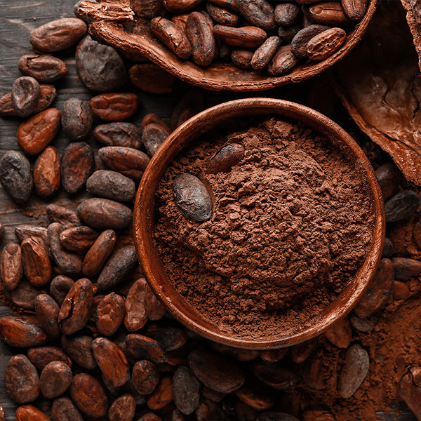 image of cocao or cocoa