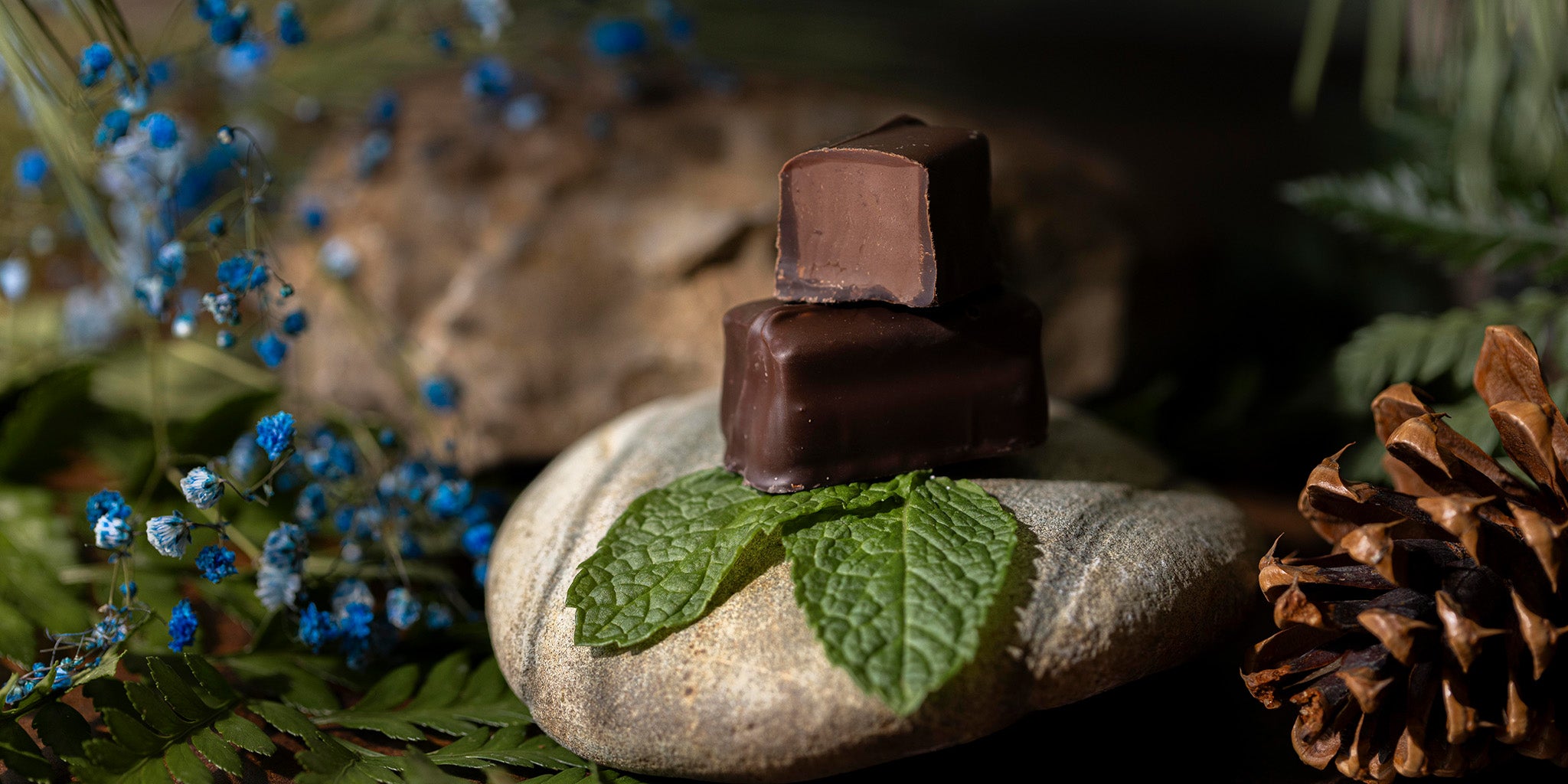 Premium chocolate mint, luxury chocolate, Rocky Mountain Chocolate Factory
