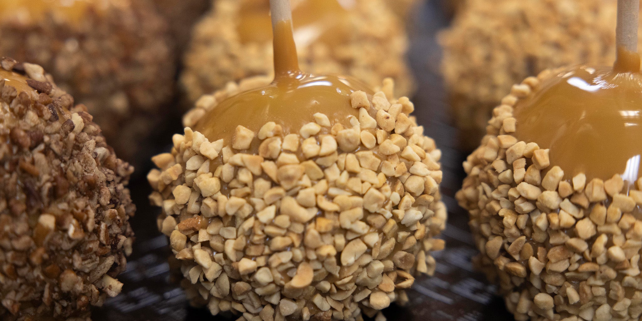 premium handcrafted caramel apples, Rocky Mountain Chocolate Factory