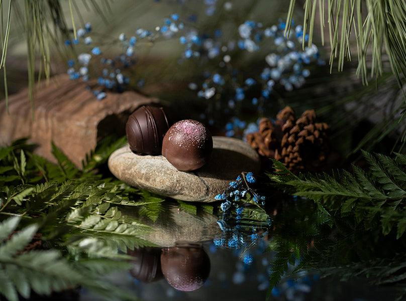 premium truffles, gourmet chocolate, Rocky Mountain Chocolate Factory